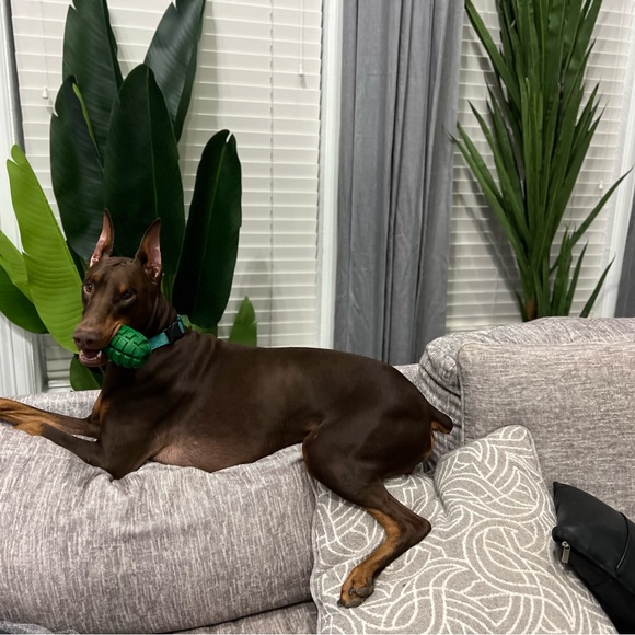 I’m Mo :) -Expect a little bit of everything here. FashionBeautyHomeFitnessDecor - Picture 12 of 16